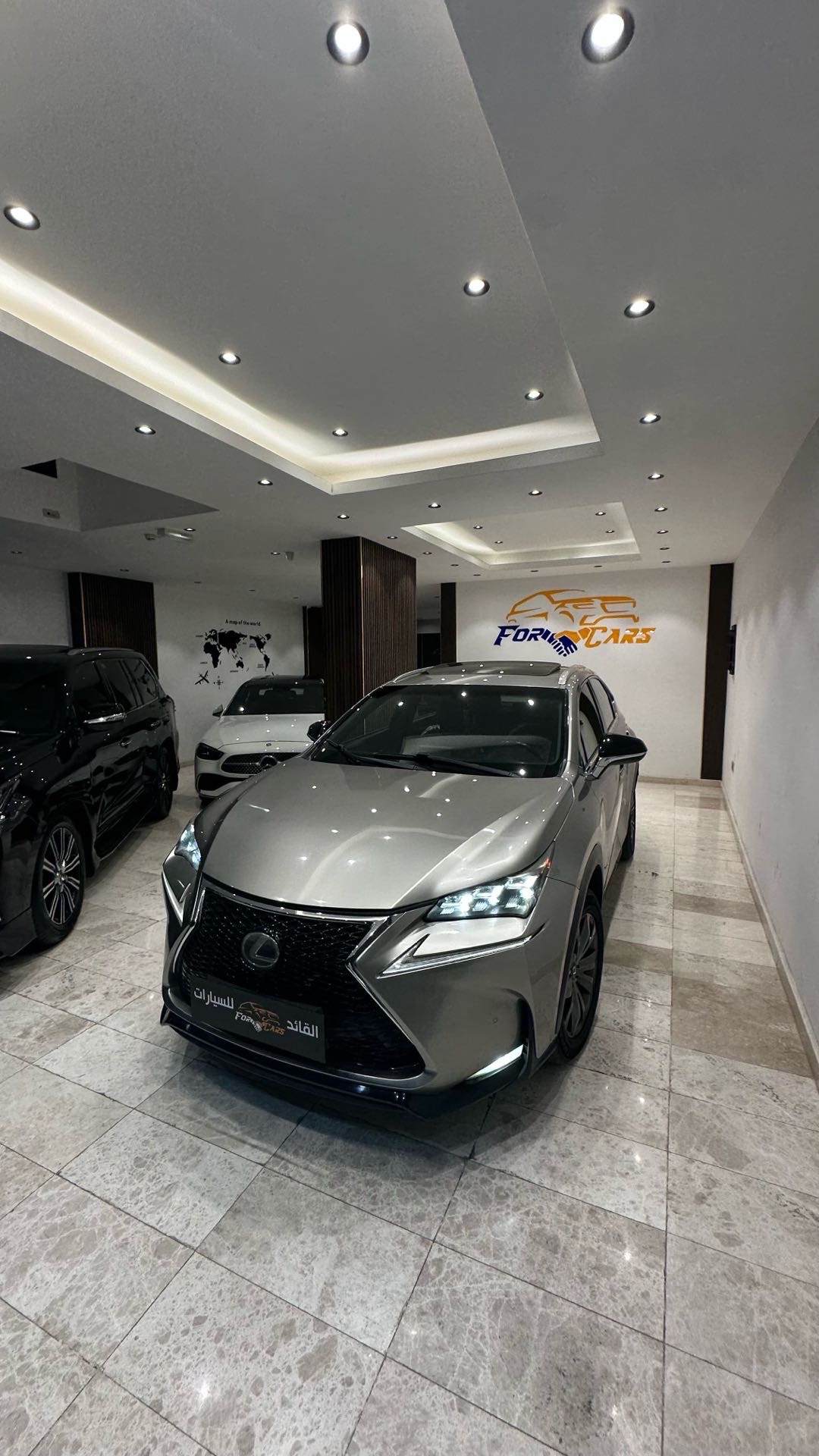 2017 Lexus NX 250