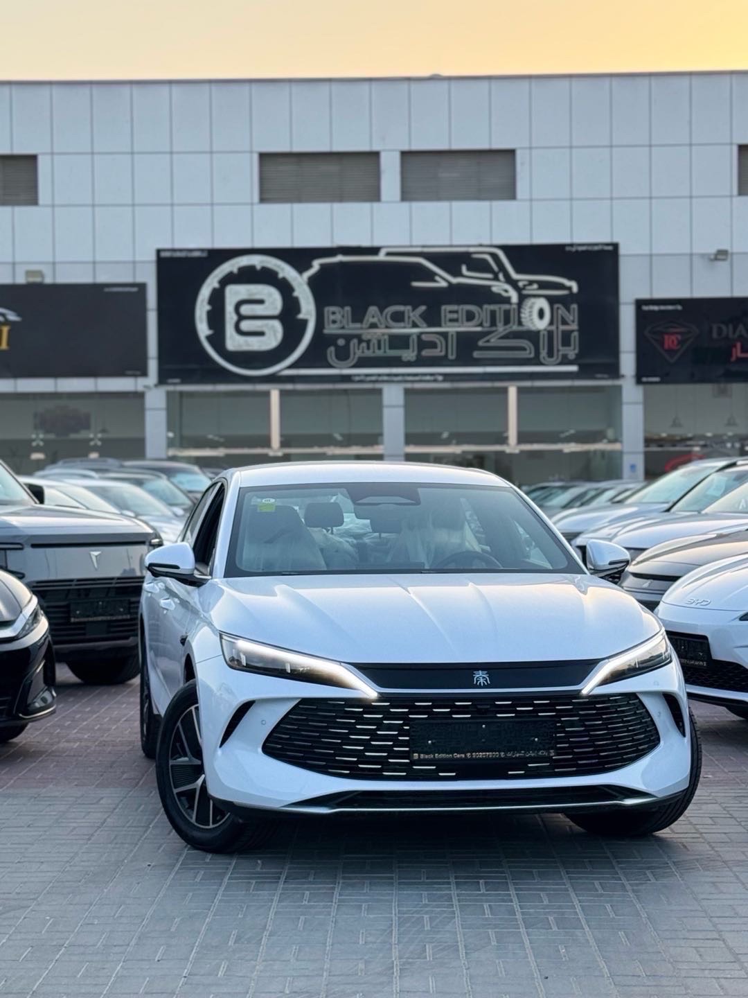 2025 BYD Tang DM-p