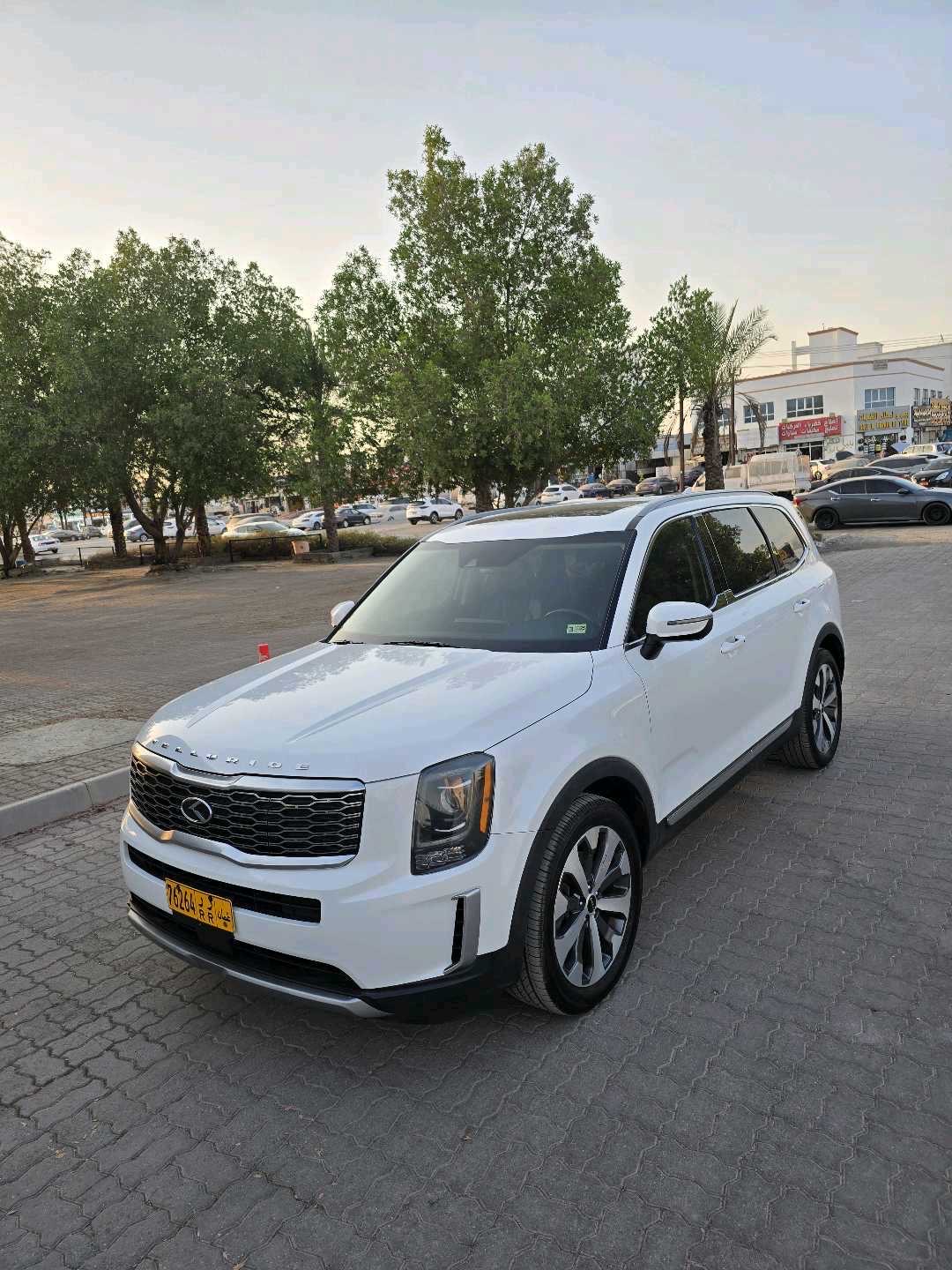 2020 Kia Telluride LX thumbnail 5