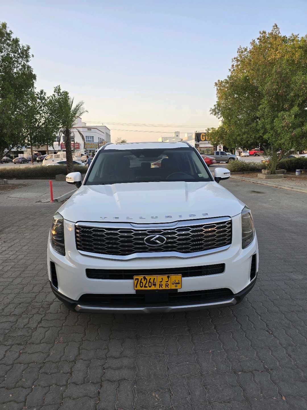 2020 Kia Telluride LX thumbnail 19