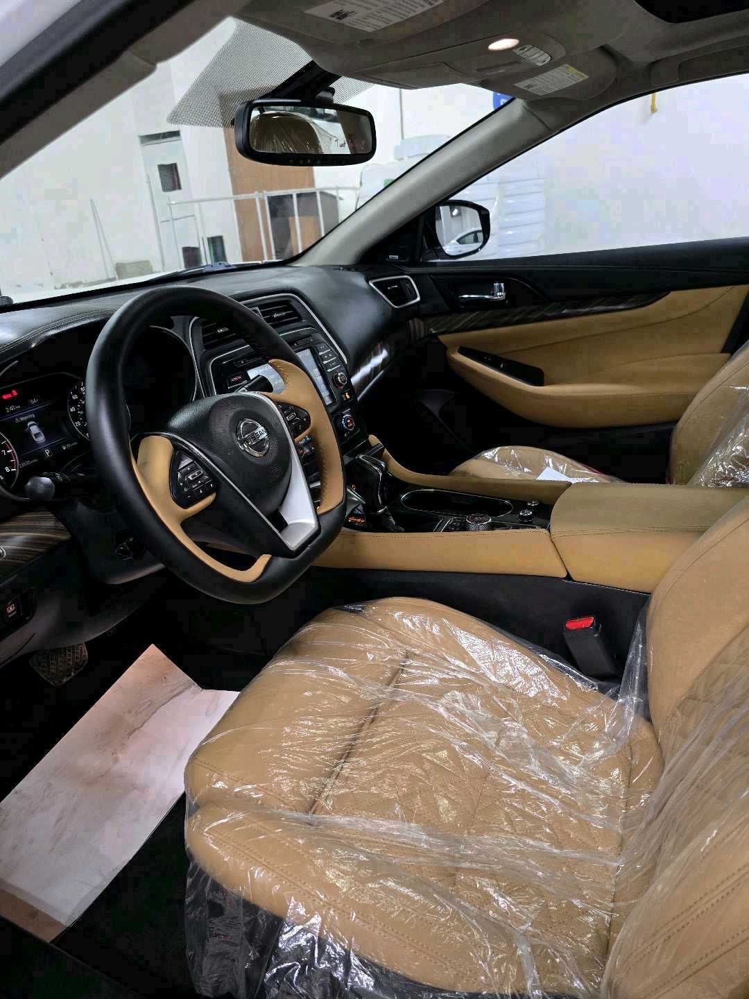 2018 Nissan Maxima Platinum thumbnail 16