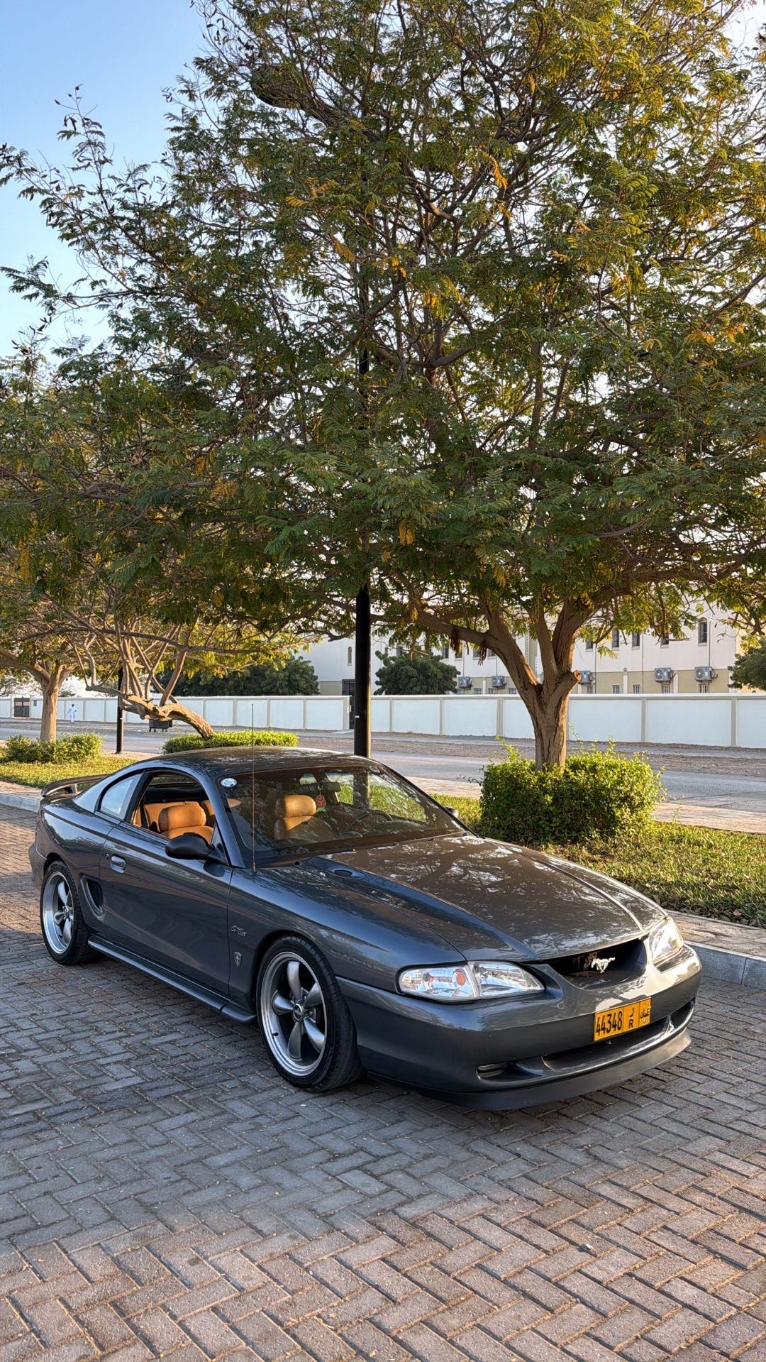 1997 Ford Mustang SV