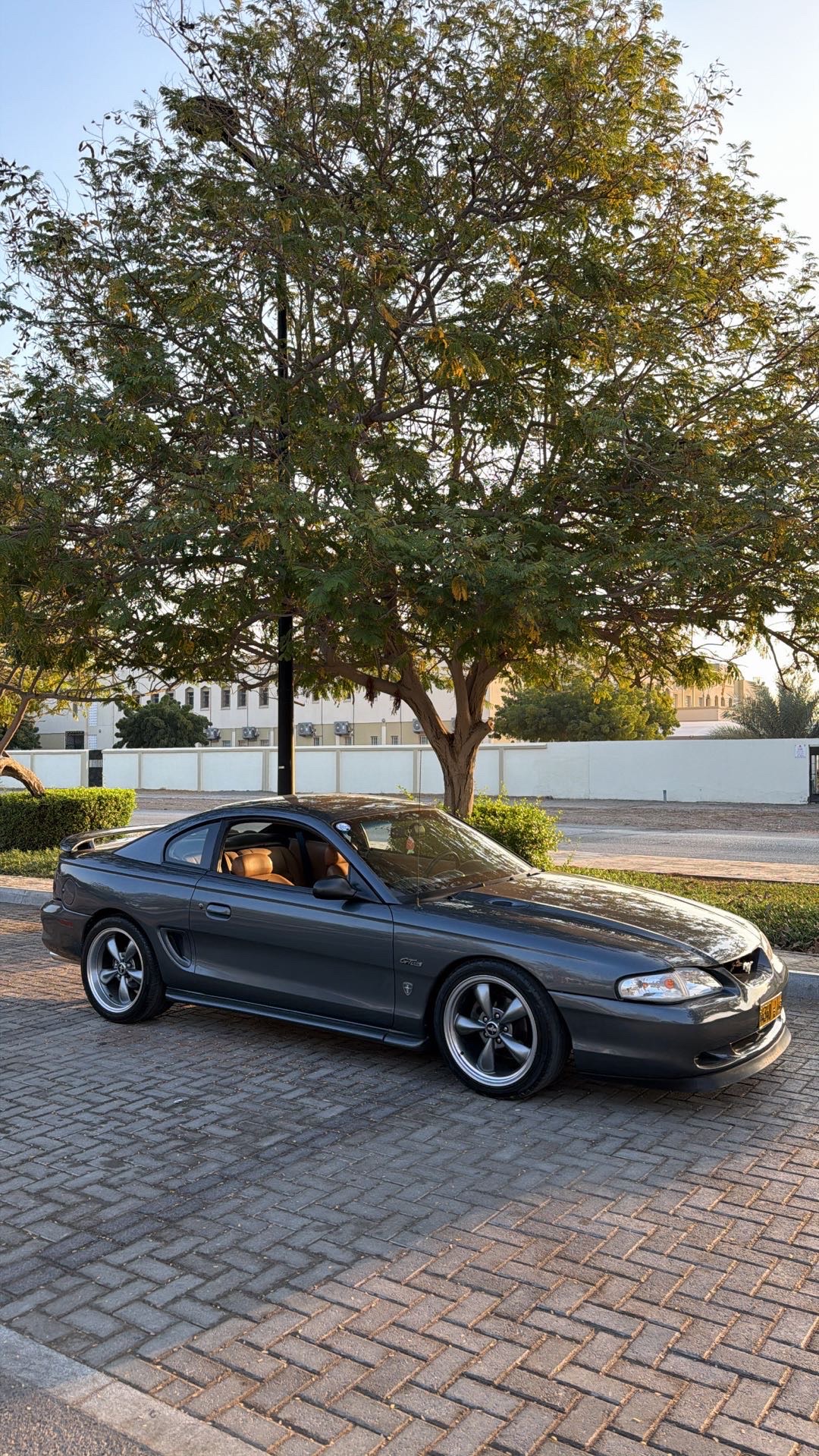 1997 Ford Mustang SV thumbnail 2