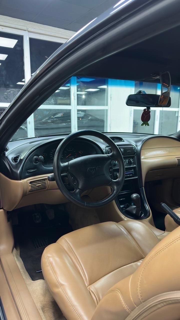 1997 Ford Mustang SV thumbnail 7