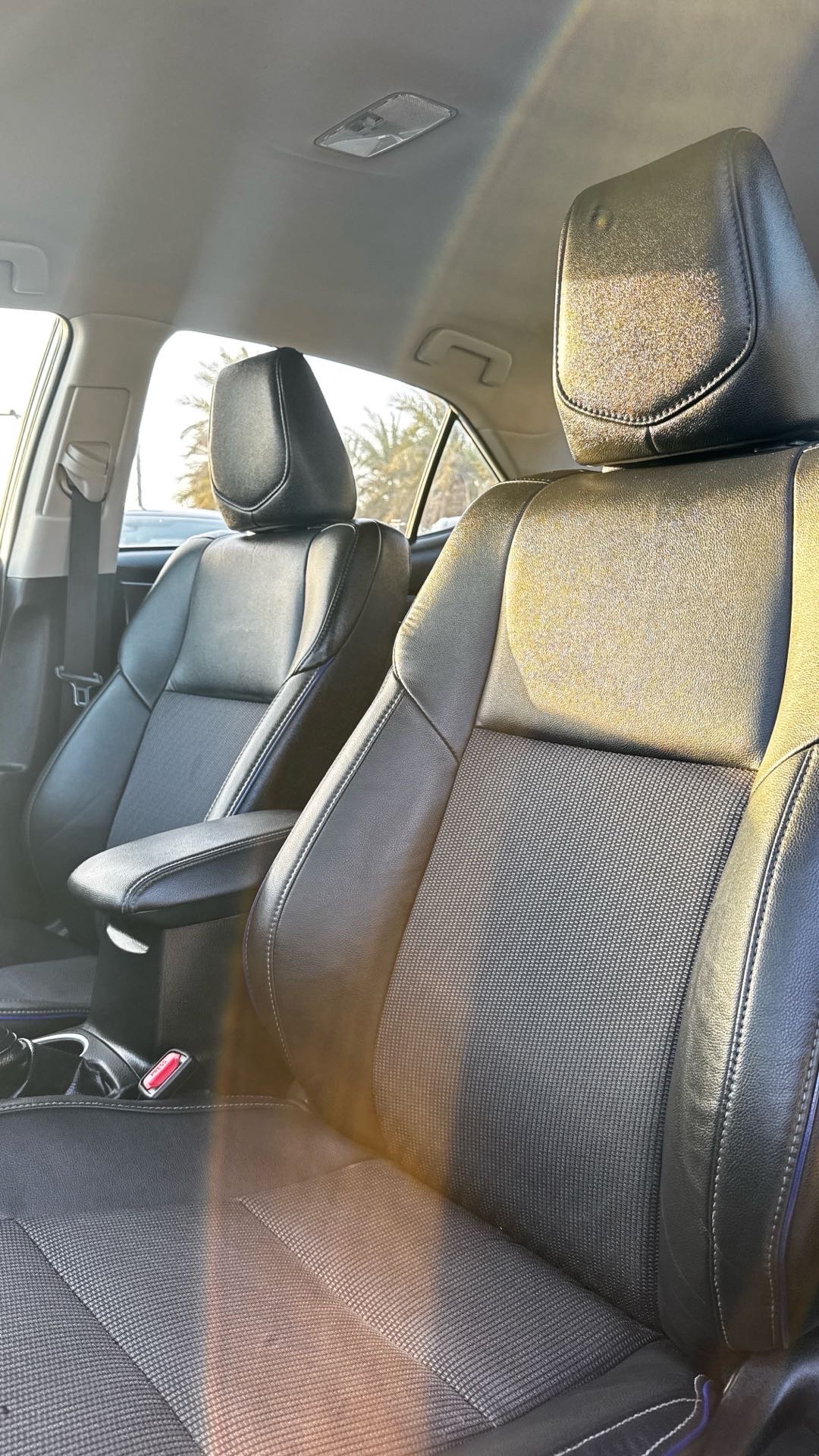 2019 Toyota Corolla SE thumbnail 6