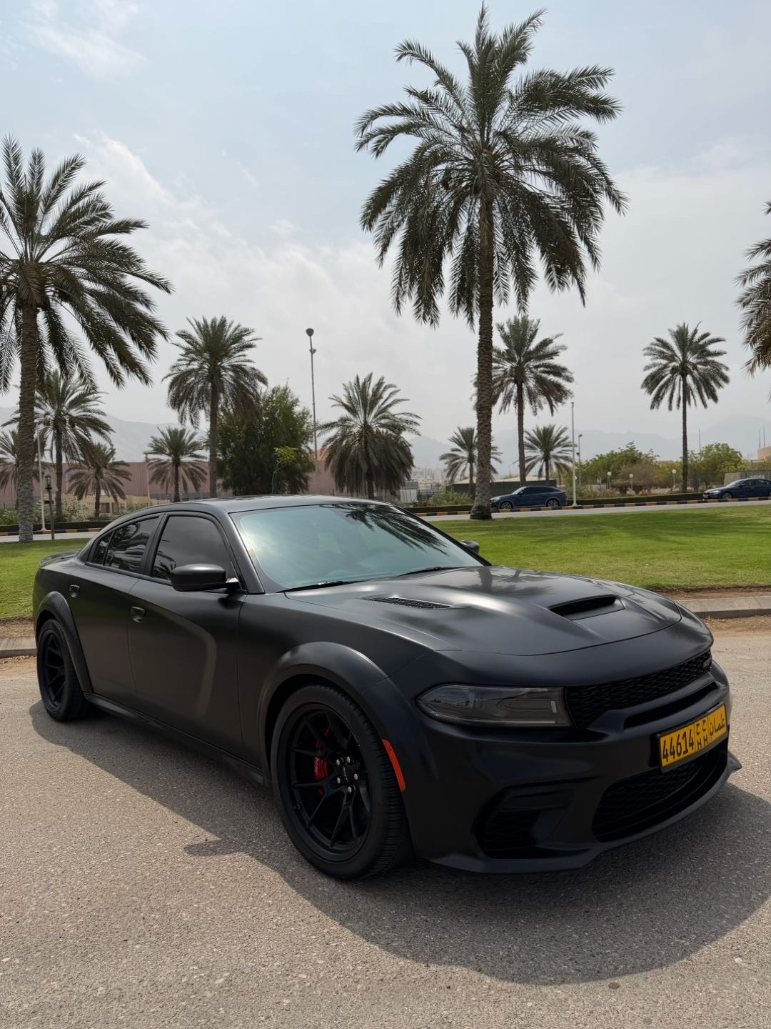 2022 Dodge Charger SRT Hellcat thumbnail 7