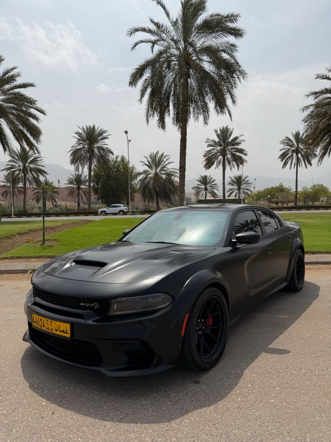 2022 Dodge Charger SRT Hellcat thumbnail 8