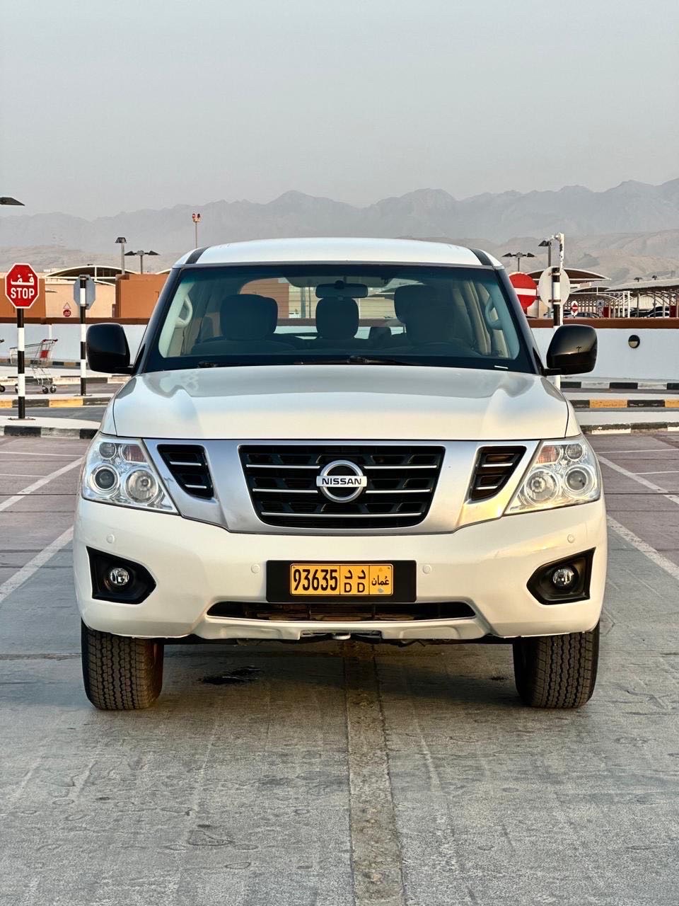 2019 Nissan Patrol LE thumbnail 2
