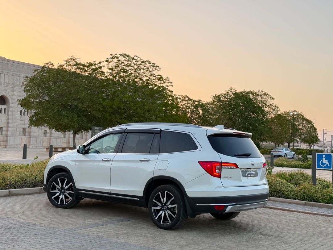 2019 Honda Pilot Platinum thumbnail 8