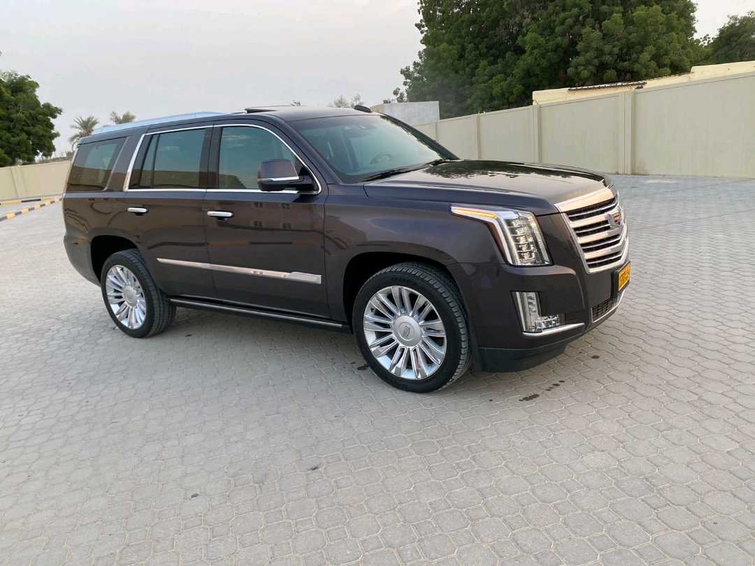 2016 Cadillac Escalade Luxury thumbnail 5
