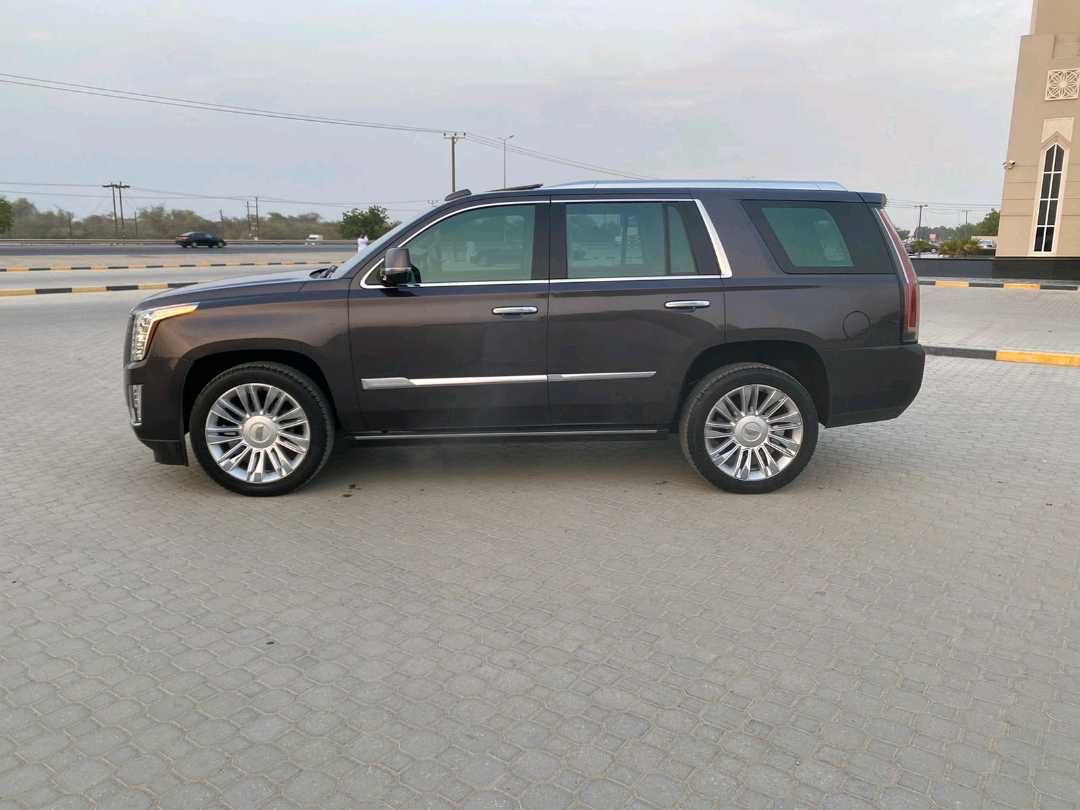 2016 Cadillac Escalade Luxury thumbnail 10