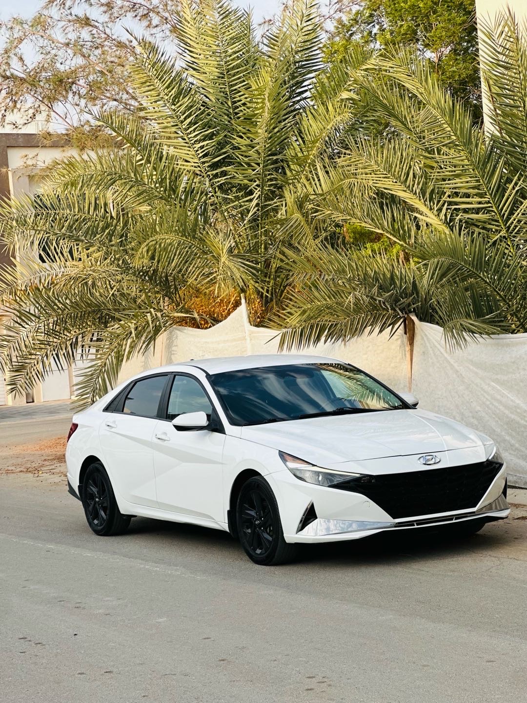 2022 Hyundai Elantra SEL Convenience thumbnail 2