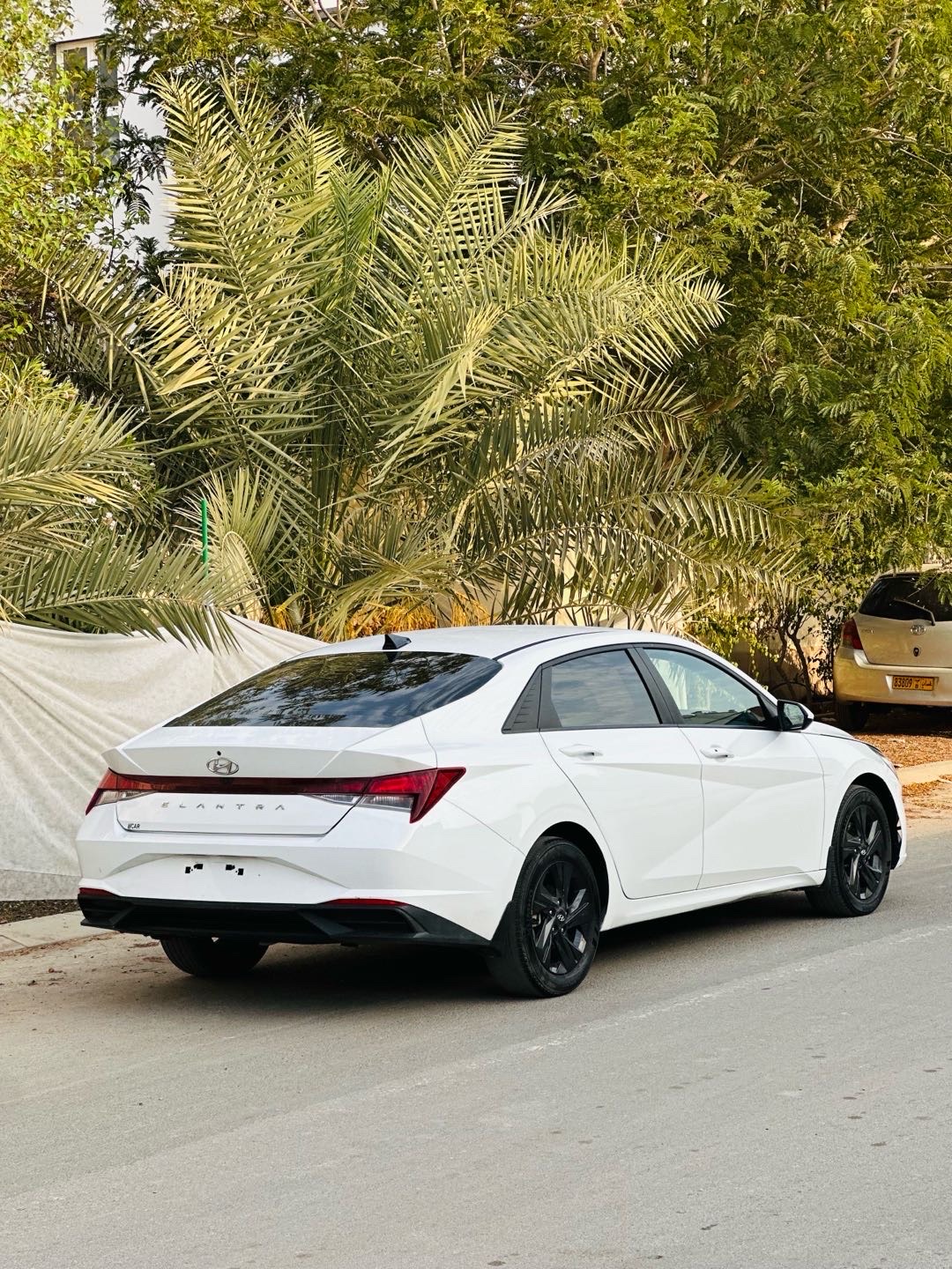 2022 Hyundai Elantra SEL Convenience thumbnail 6