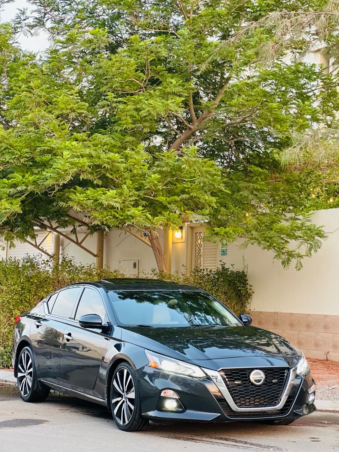 2020 Nissan Altima Platinum thumbnail 2