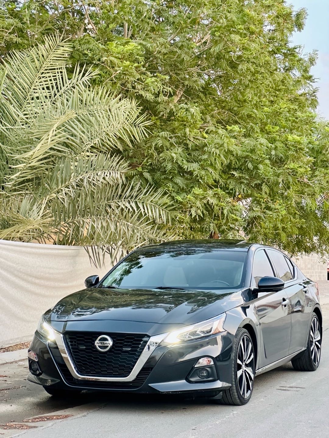 2020 Nissan Altima Platinum thumbnail 3