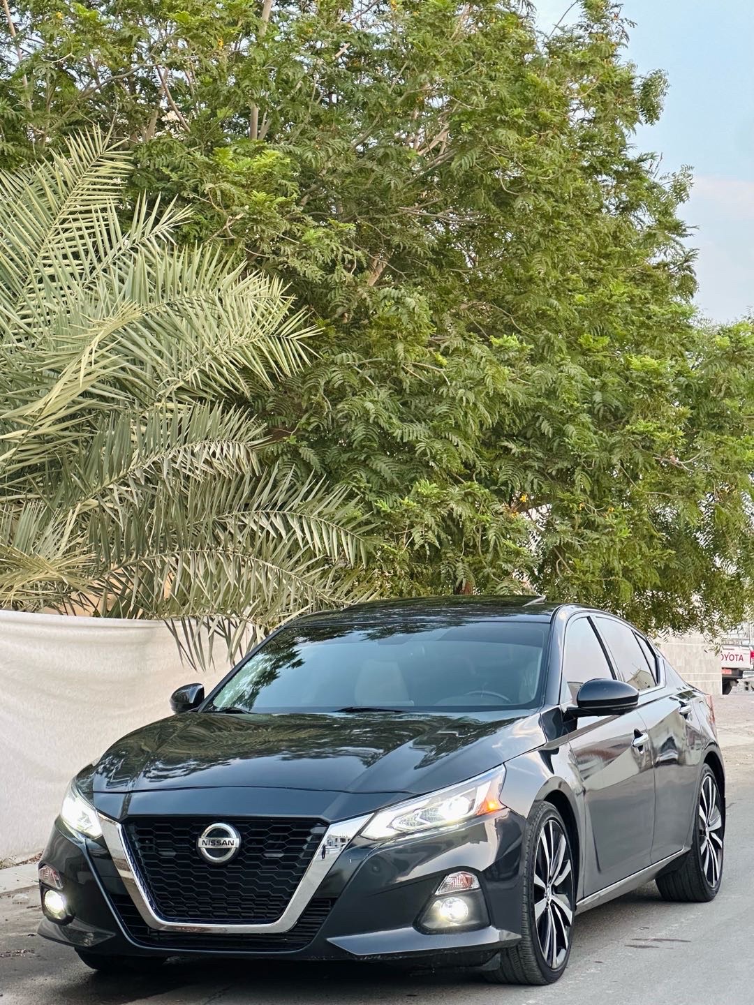 2020 Nissan Altima Platinum thumbnail 6