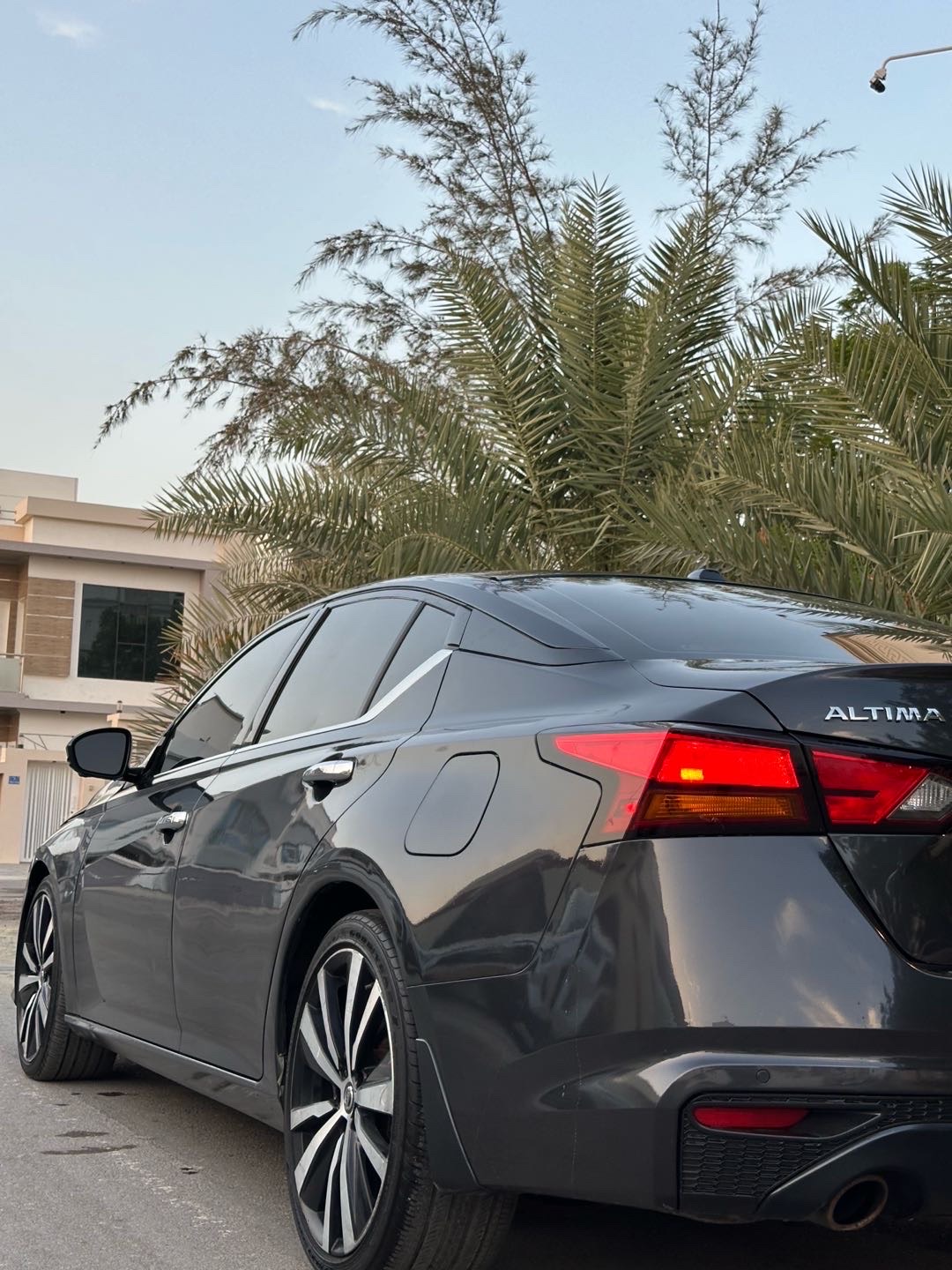 2020 Nissan Altima Platinum thumbnail 8
