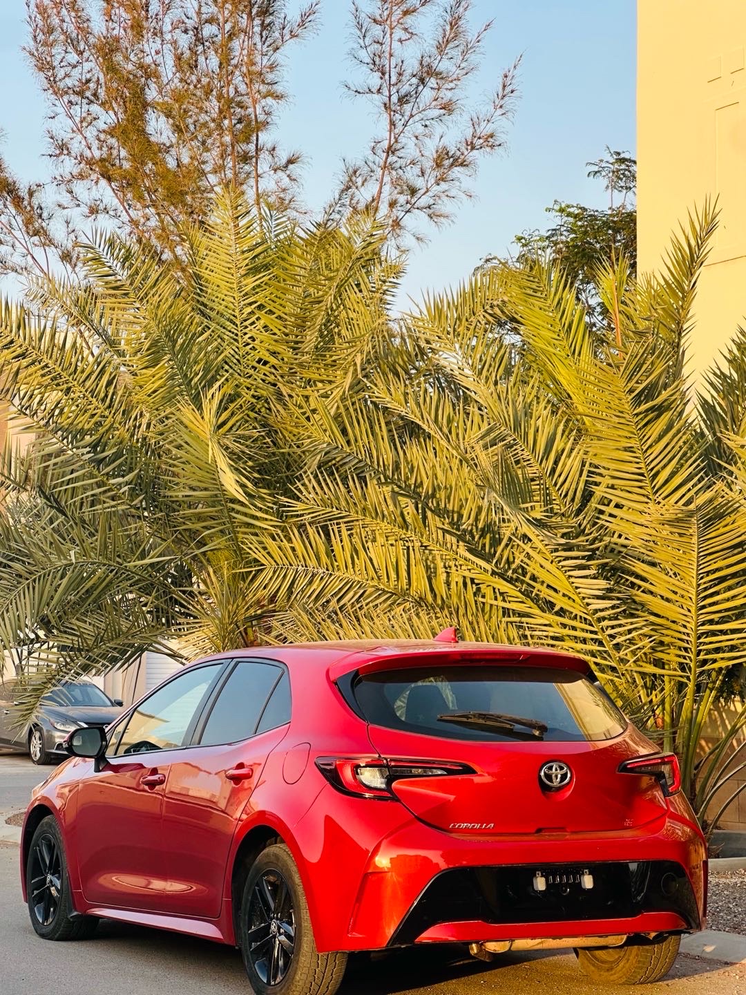 2019 Toyota Corolla SE thumbnail 5