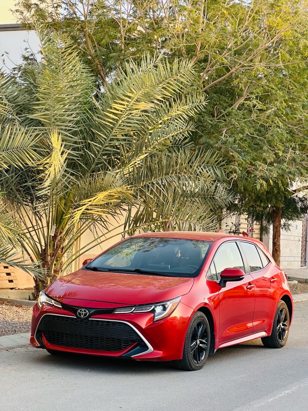 2019 Toyota Corolla SE thumbnail 7