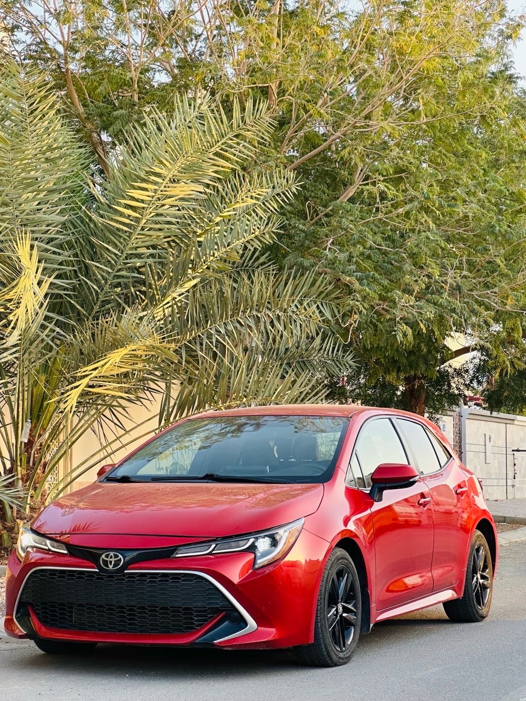 2019 Toyota Corolla SE thumbnail 11
