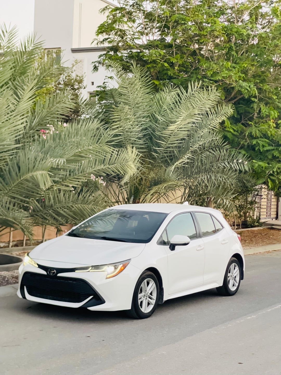 2020 Toyota Corolla SE thumbnail 8