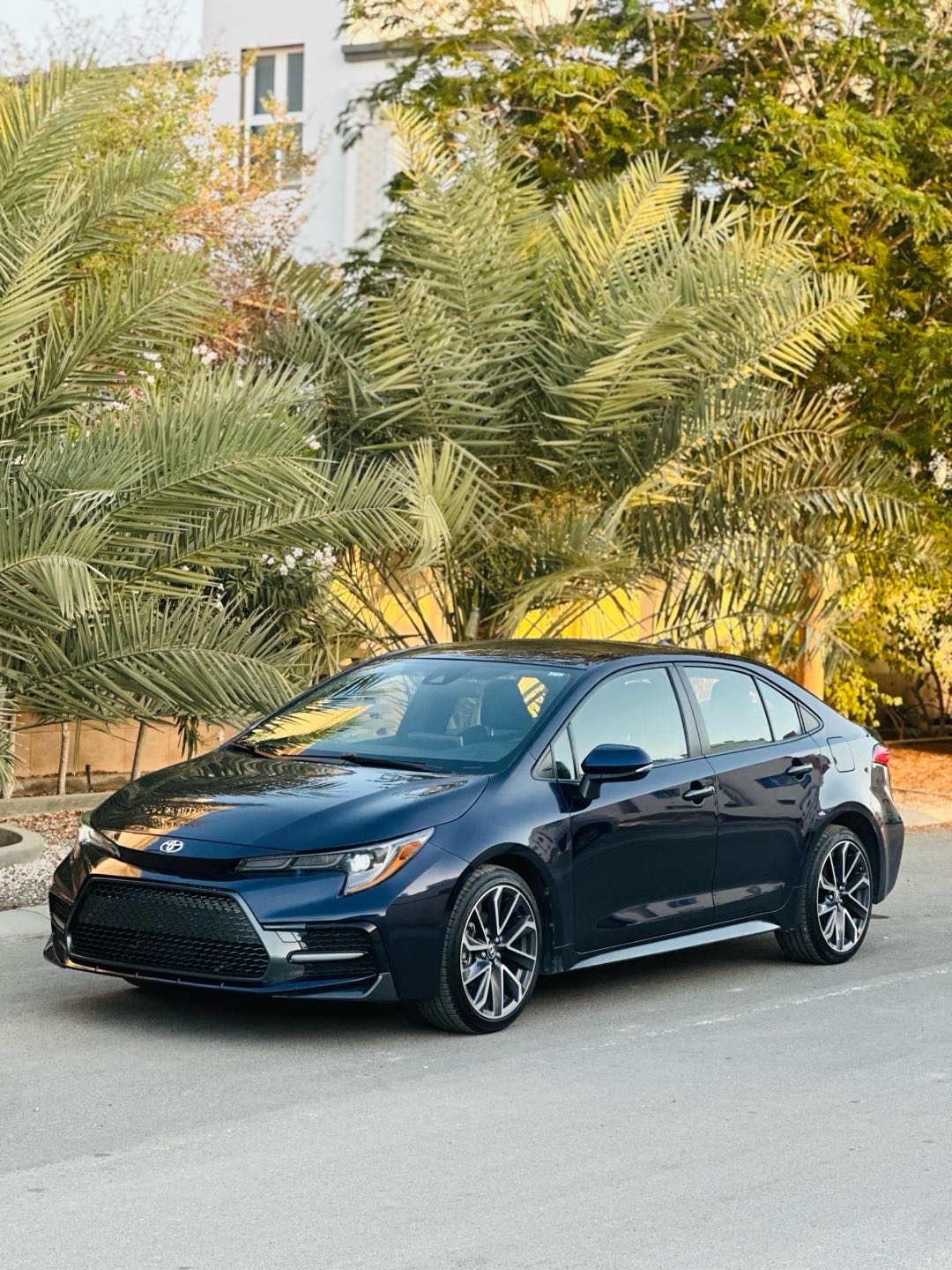 2020 Toyota Corolla SE thumbnail 5