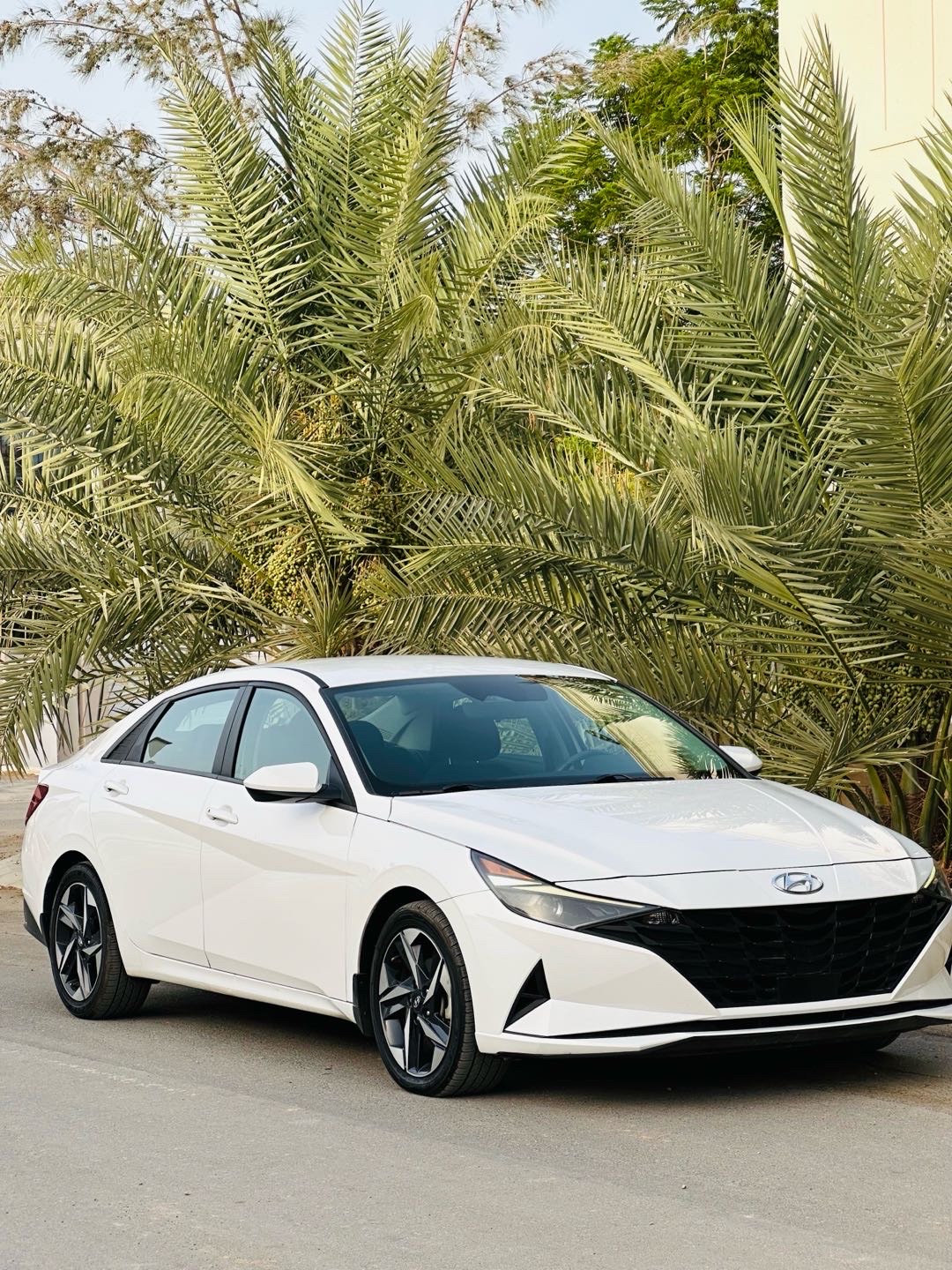 2023 Hyundai Elantra SEL Convenience thumbnail 3