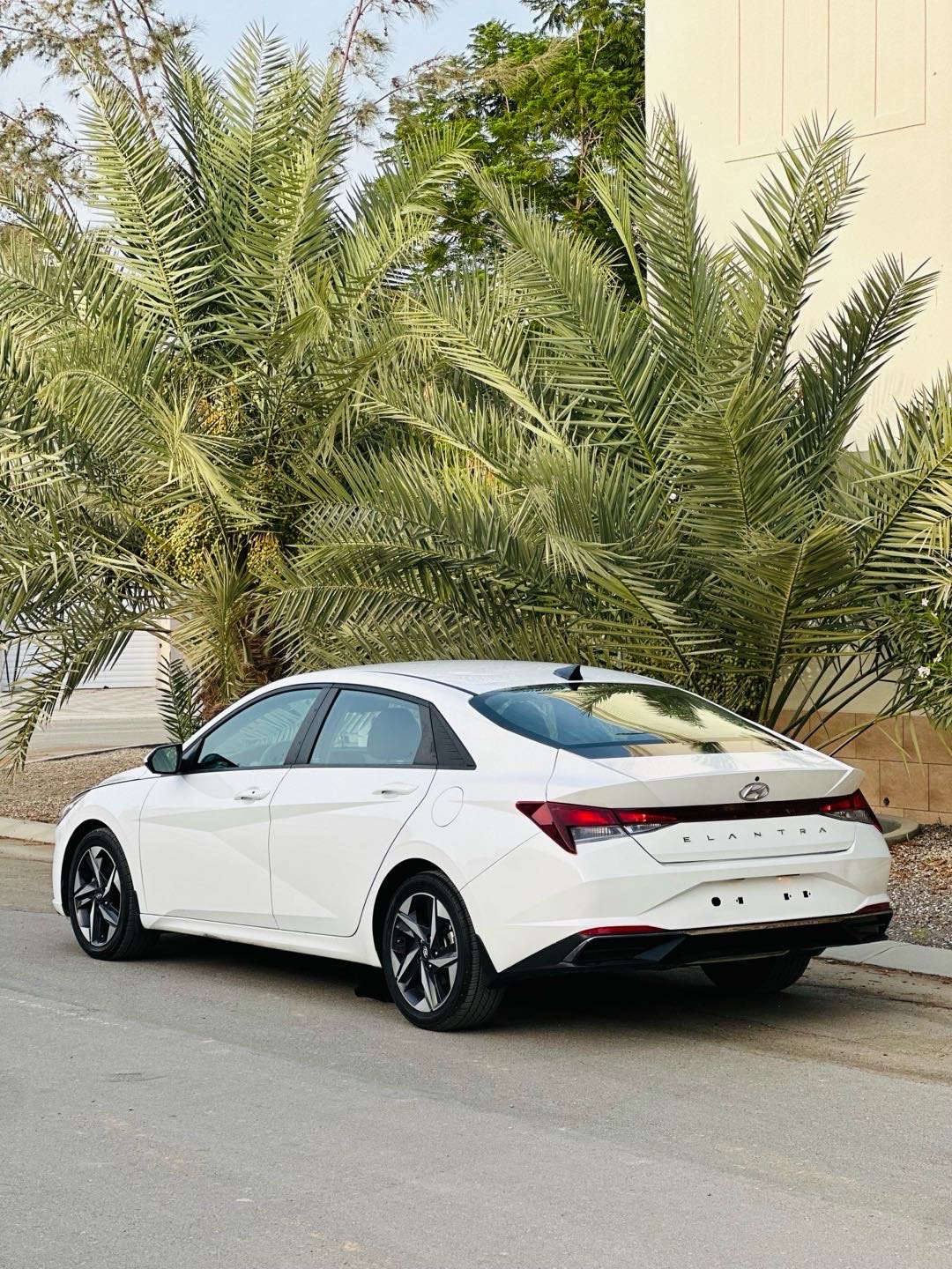 2023 Hyundai Elantra SEL Convenience thumbnail 5