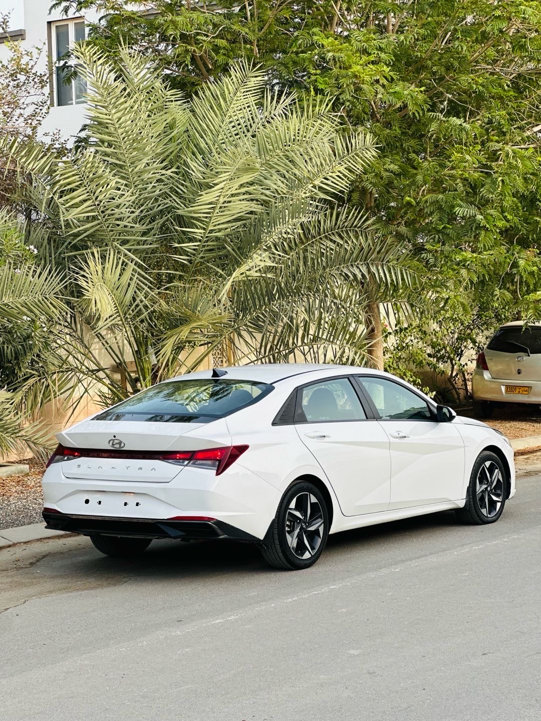 2023 Hyundai Elantra SEL Convenience thumbnail 6