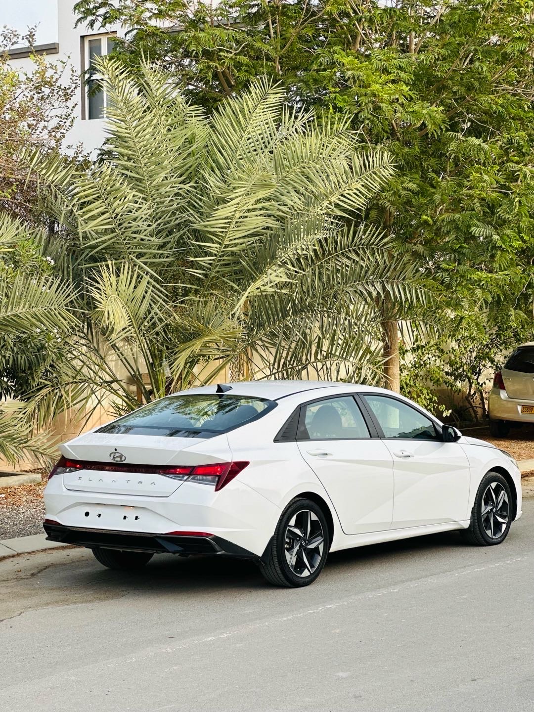 2023 Hyundai Elantra SEL Convenience thumbnail 7