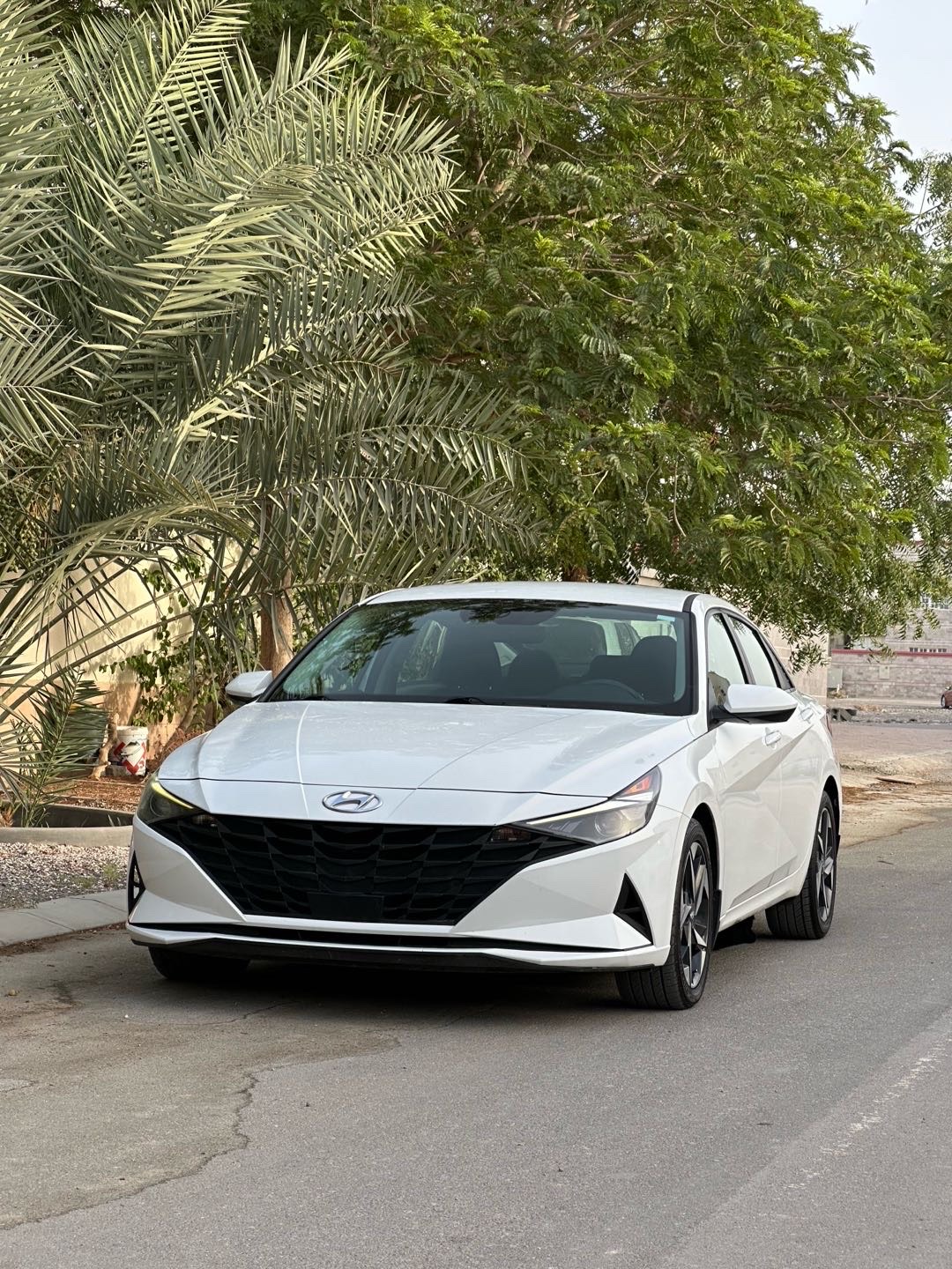 2023 Hyundai Elantra SEL Convenience thumbnail 20