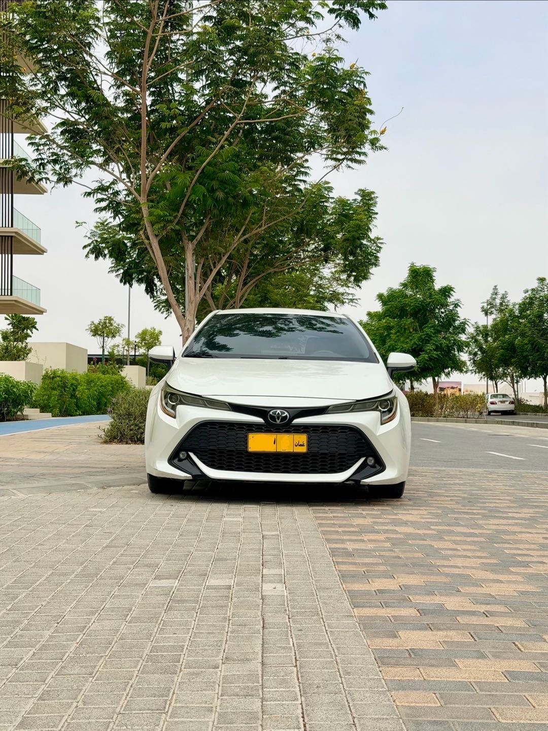 2019 Toyota Corolla SE thumbnail 4