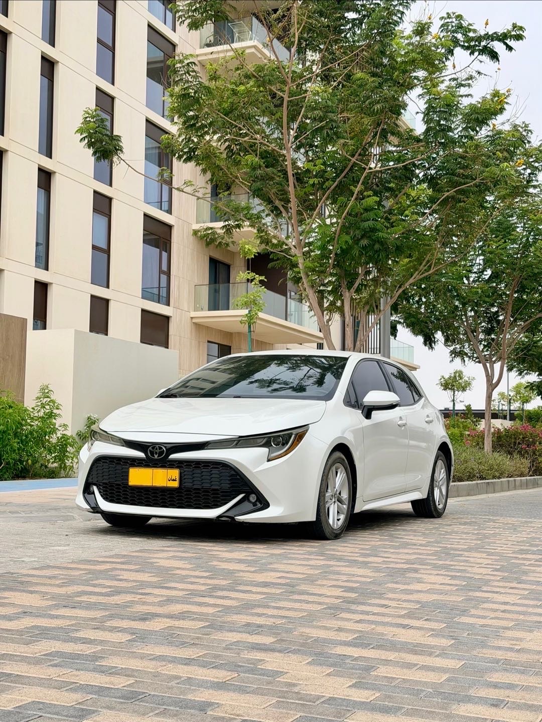 2019 Toyota Corolla SE thumbnail 9