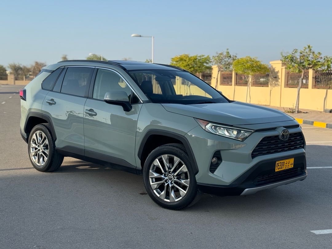 2019 Toyota Rav4 Limited thumbnail 2