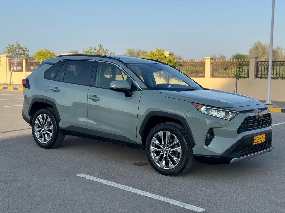 2019 Toyota Rav4 Limited thumbnail 4