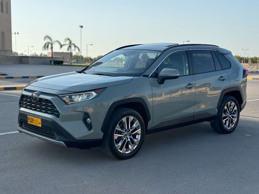 2019 Toyota Rav4 Limited thumbnail 5