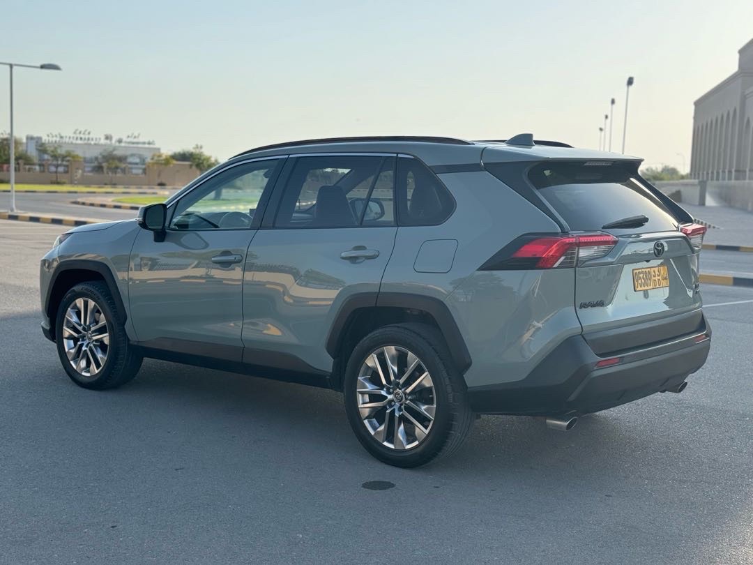 2019 Toyota Rav4 Limited thumbnail 6