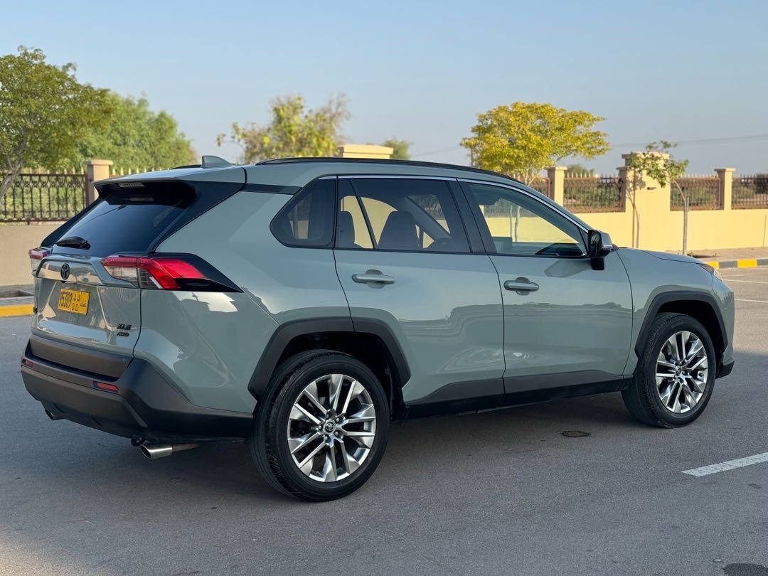 2019 Toyota Rav4 Limited thumbnail 7