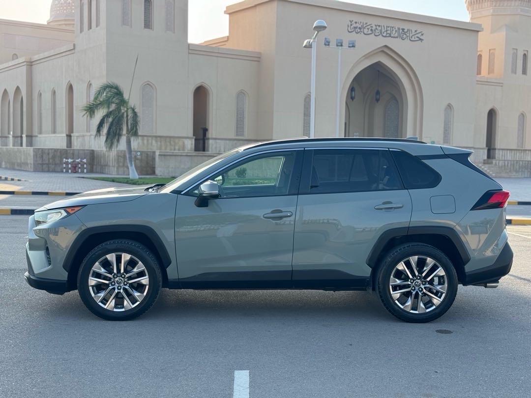 2019 Toyota Rav4 Limited thumbnail 8