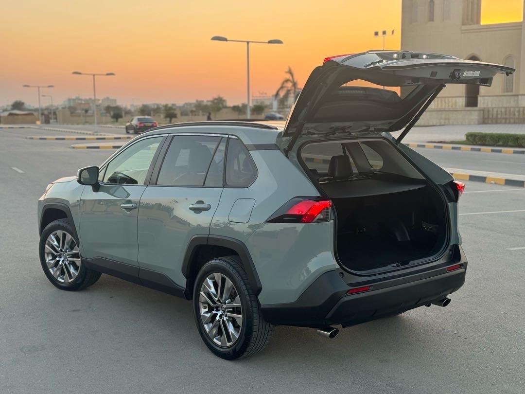 2019 Toyota Rav4 Limited thumbnail 10