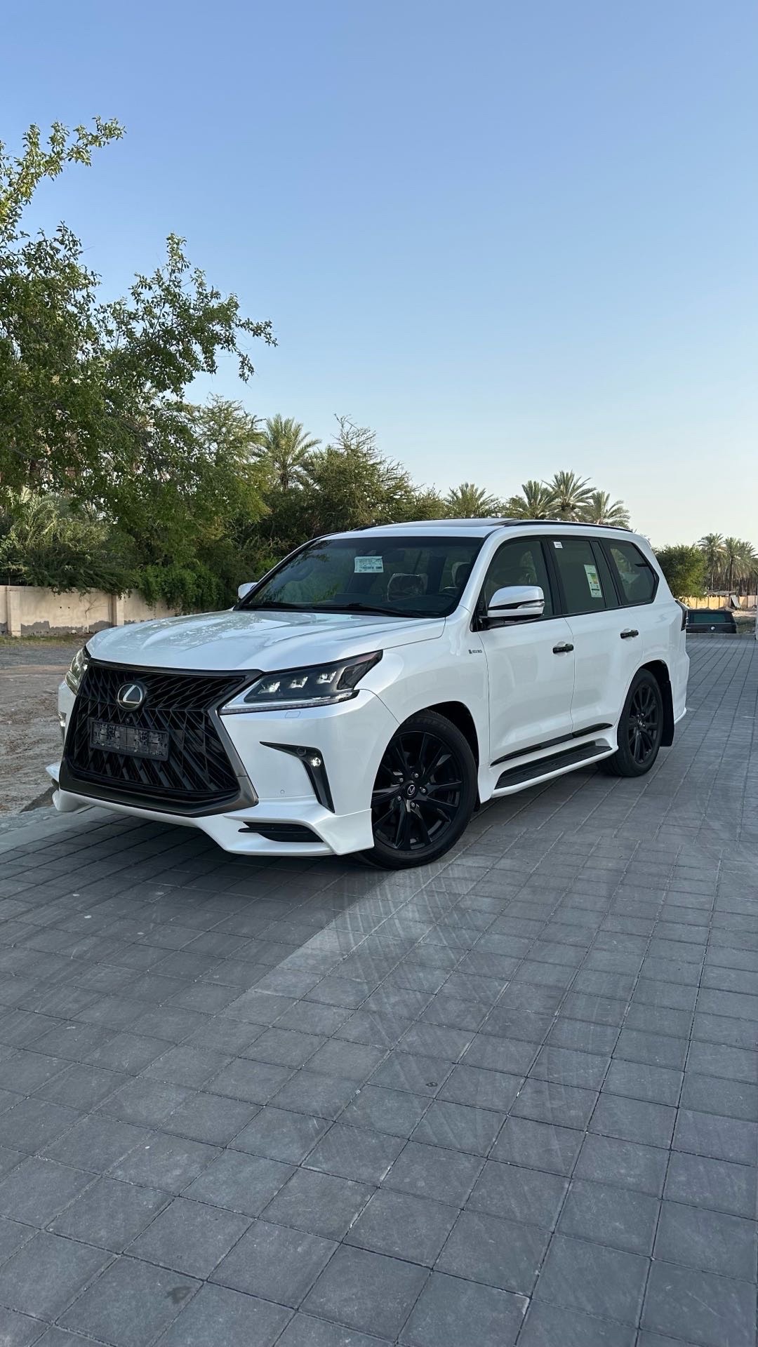 2019 Lexus LX 570