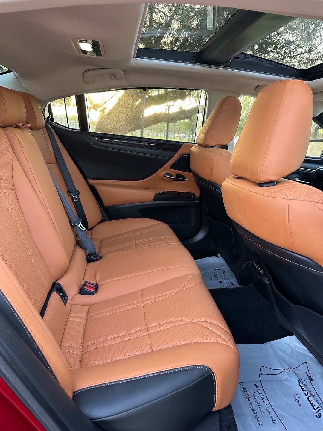 2019 Lexus ES 350 thumbnail 8