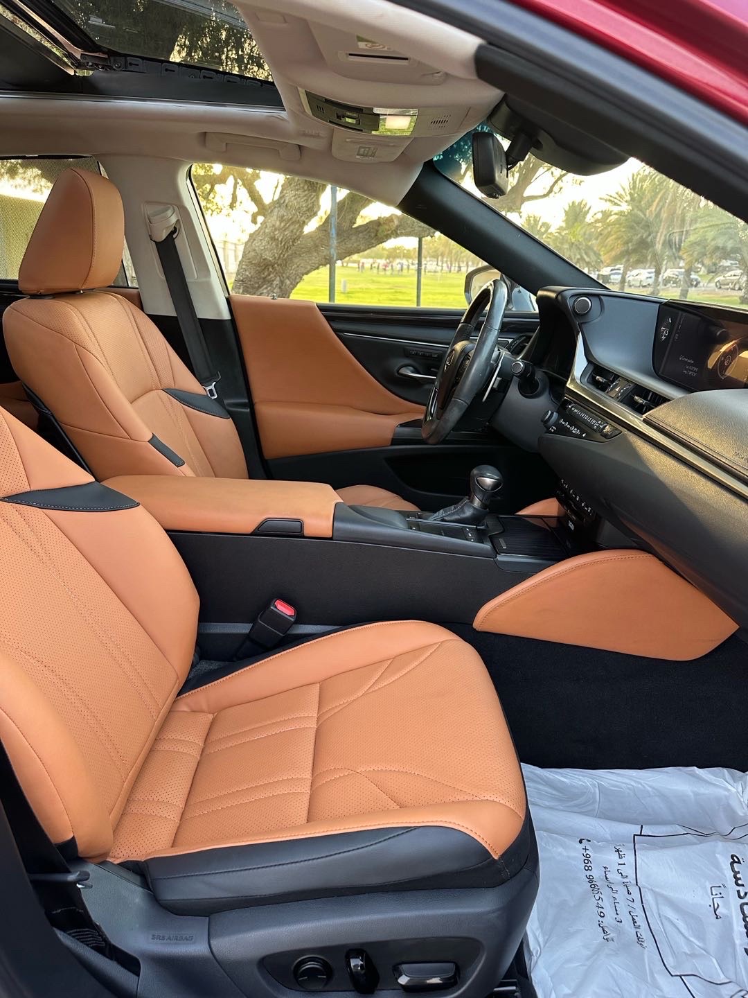 2019 Lexus ES 350 thumbnail 13