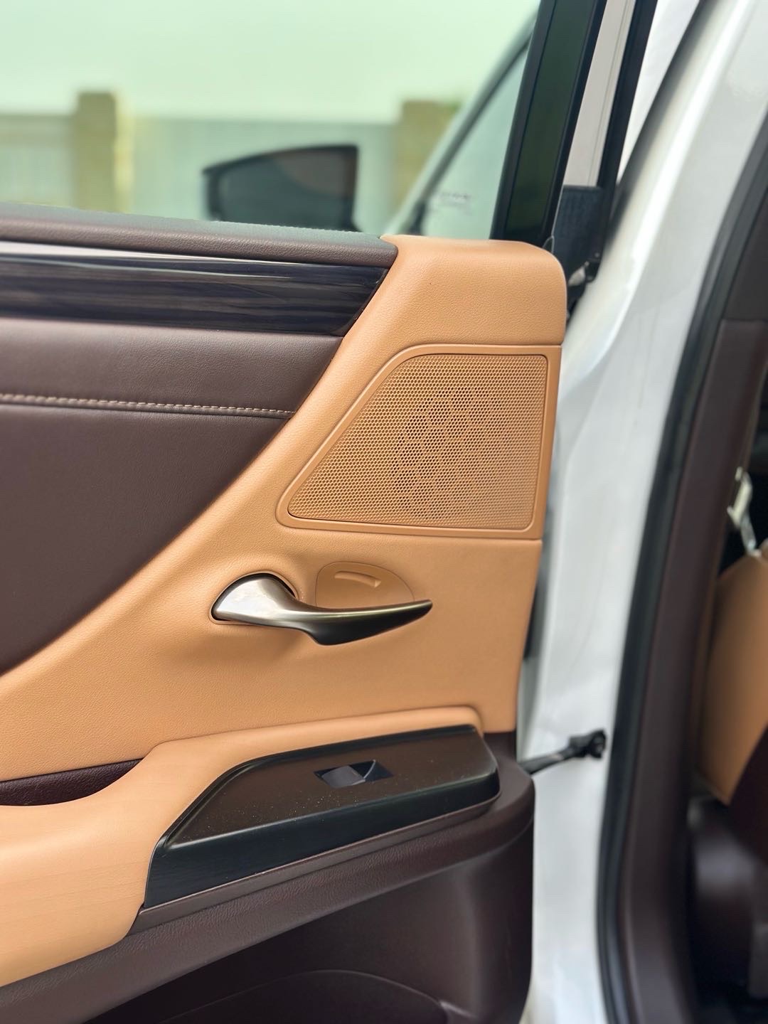 2020 Lexus ES 350 thumbnail 9