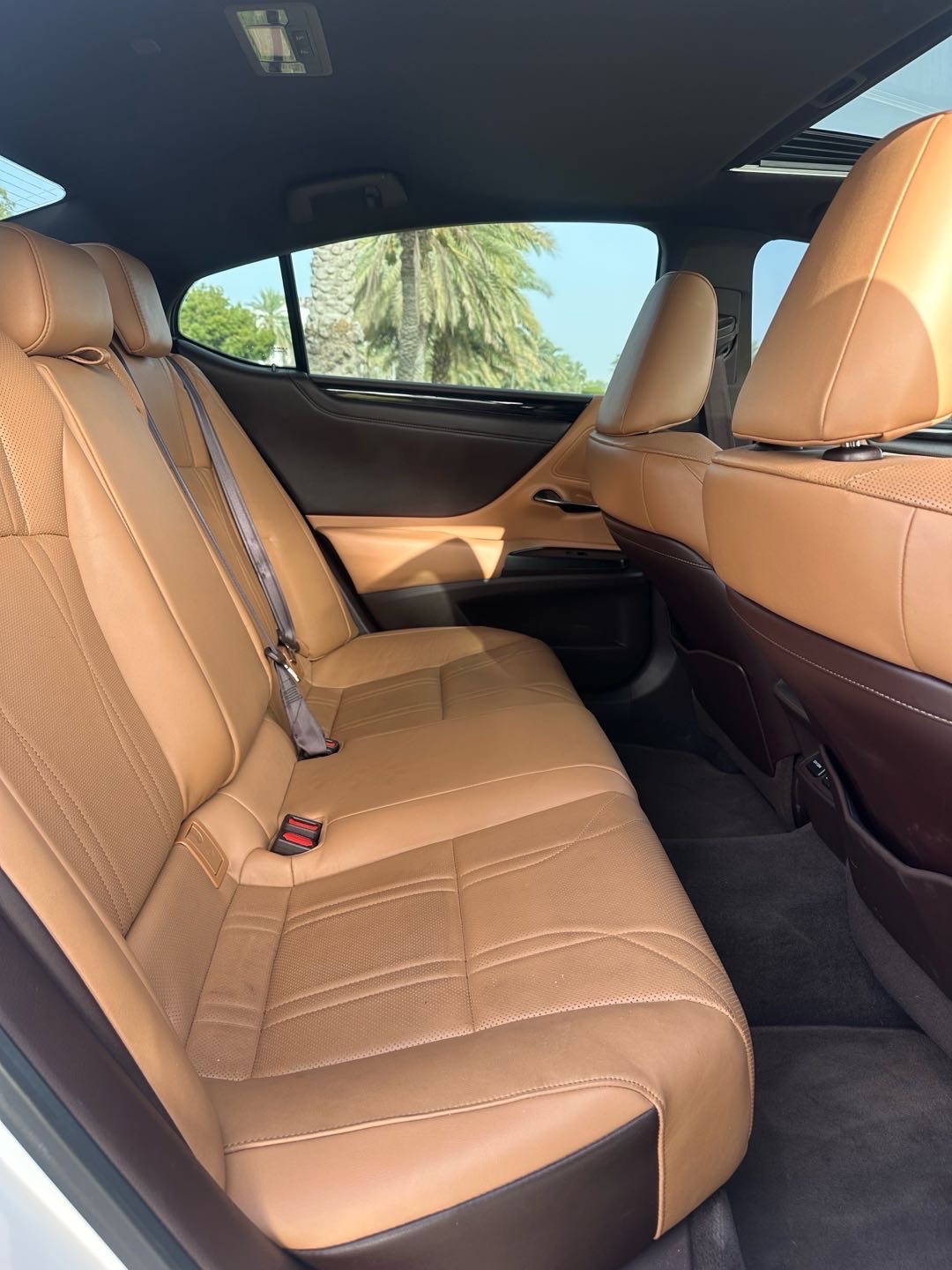 2020 Lexus ES 350 thumbnail 13