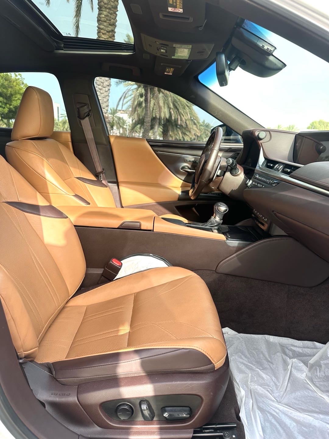 2020 Lexus ES 350 thumbnail 14