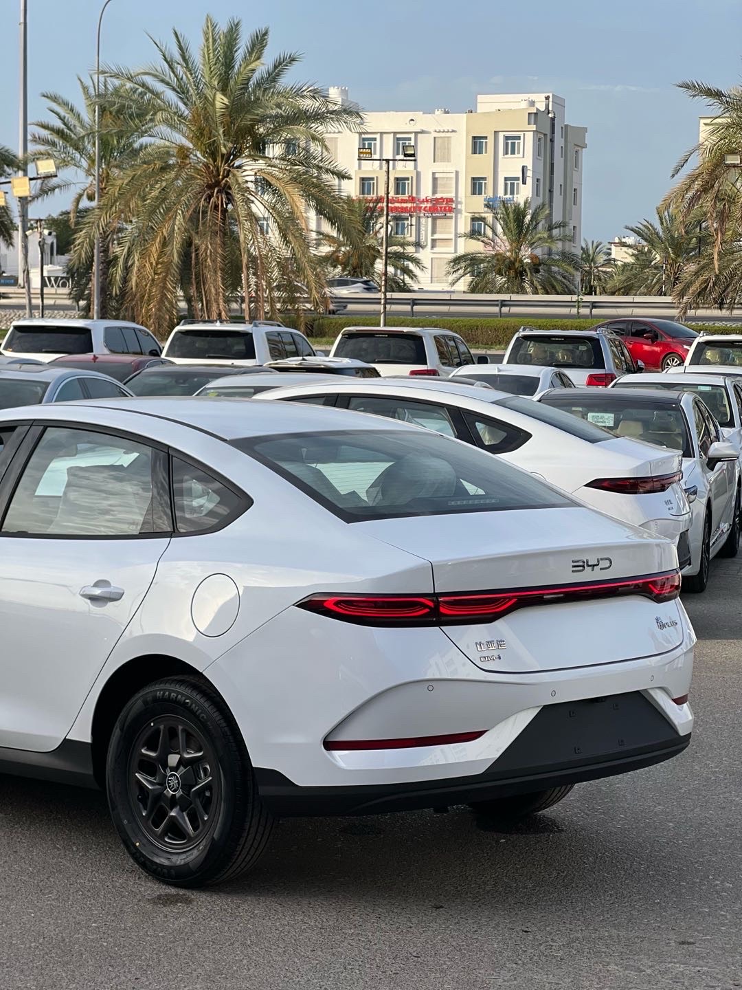 2025 BYD Tshen Premium thumbnail 4