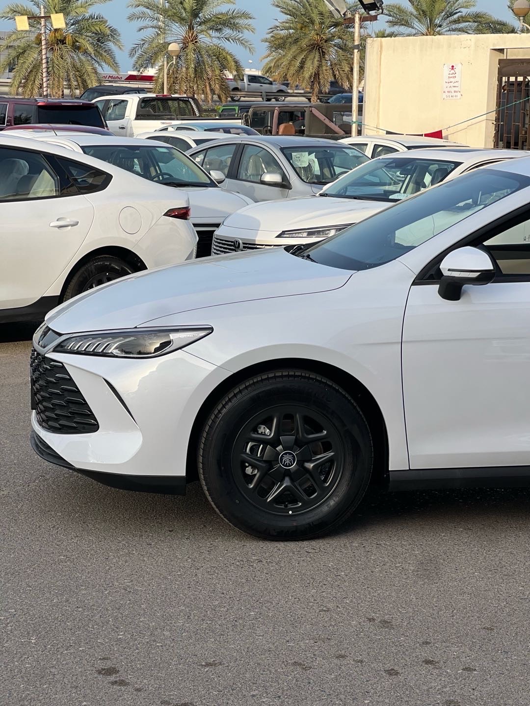 2025 BYD Tshen Premium thumbnail 5