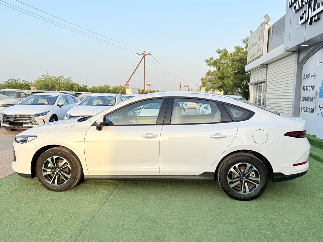 2025 BYD Tshen Premium thumbnail 3