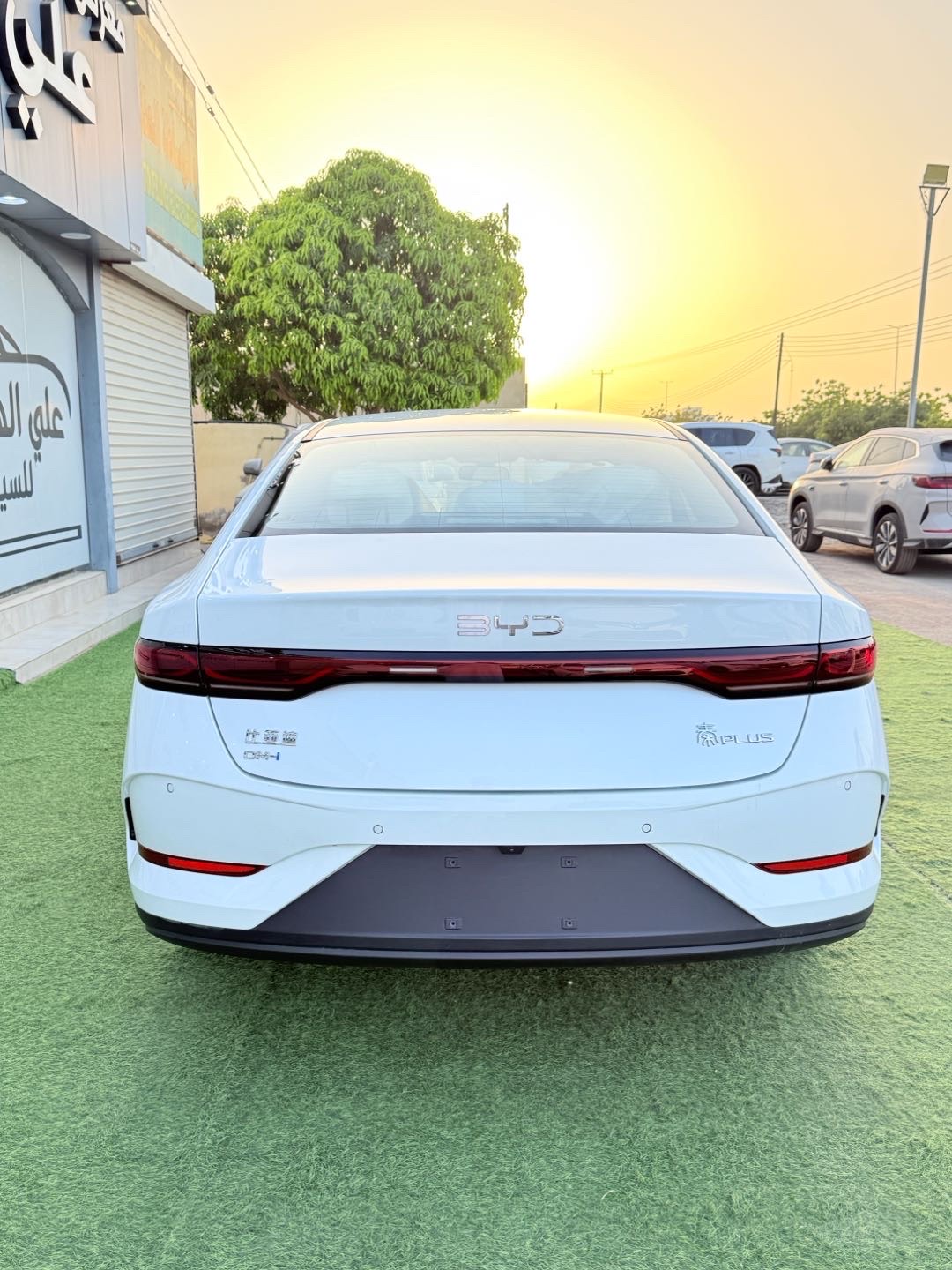 2025 BYD Tshen Premium thumbnail 12